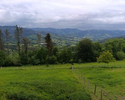 Nuevo Taller Presencial en Elgeta, Gipuzkoa